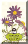 wildflower Prairie Aster 250.jpg (75419 bytes)