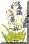 wildflower Rocky Mountain Penstemon 250.jpg (76688 bytes)